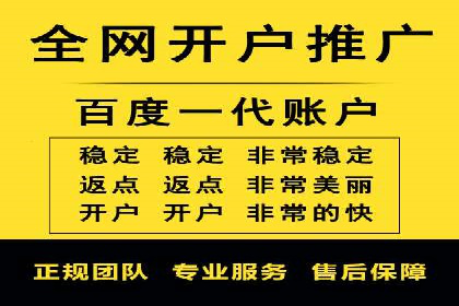 搜索引擎优化（SEO）与竞价广告（SEM）的对比案例